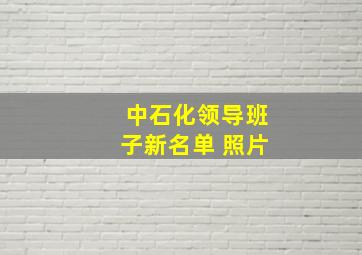 中石化领导班子新名单 照片